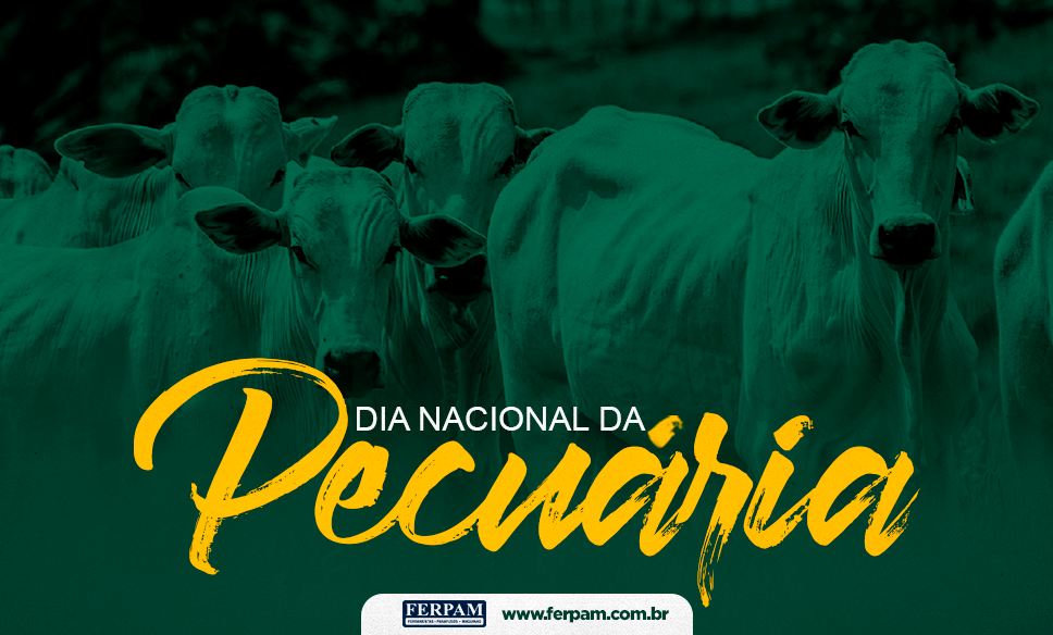 Dados da pecuária de corte: Brasil, China e EUA, de 2017 a 2021