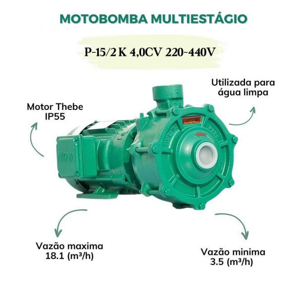 Motobomba Multiestágio P-15/2 K 4,0CV 220-440V Monofásica Rotor AL Thebe